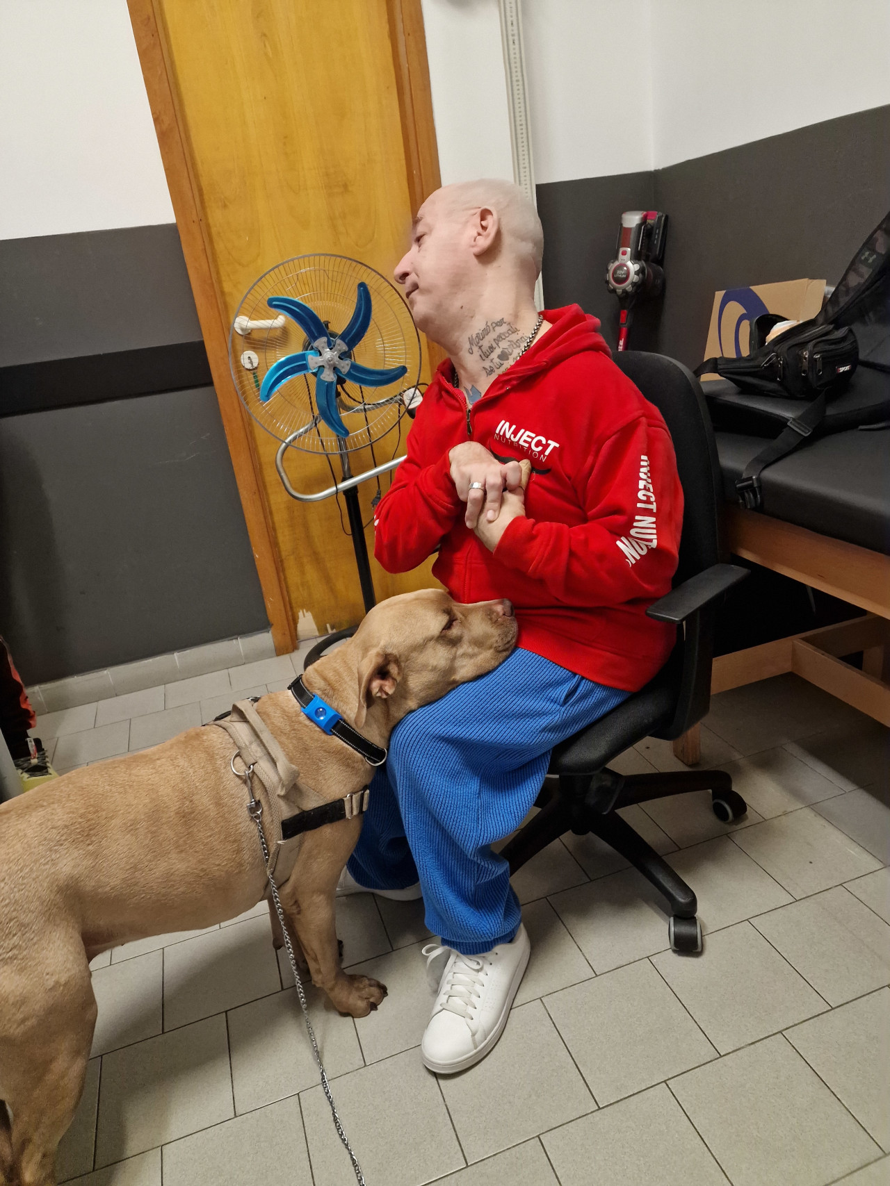 cane che sta appoggiato con il muso su una persona seduta
